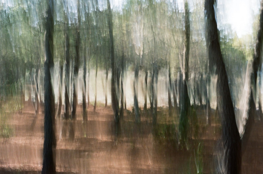 Shamanic Whispers